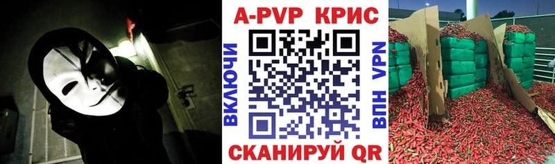 Alfa_PVP СК КРИС  Гдов 