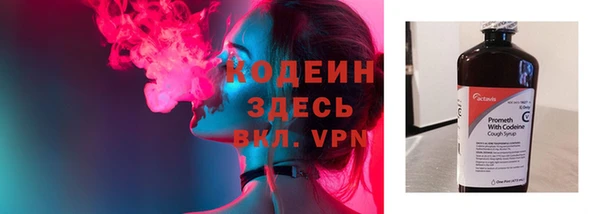 гашик Сосновый Бор