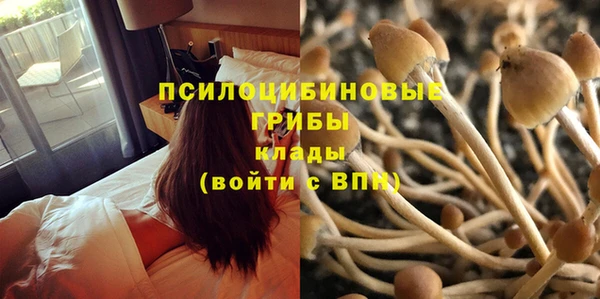 наркотики Алзамай